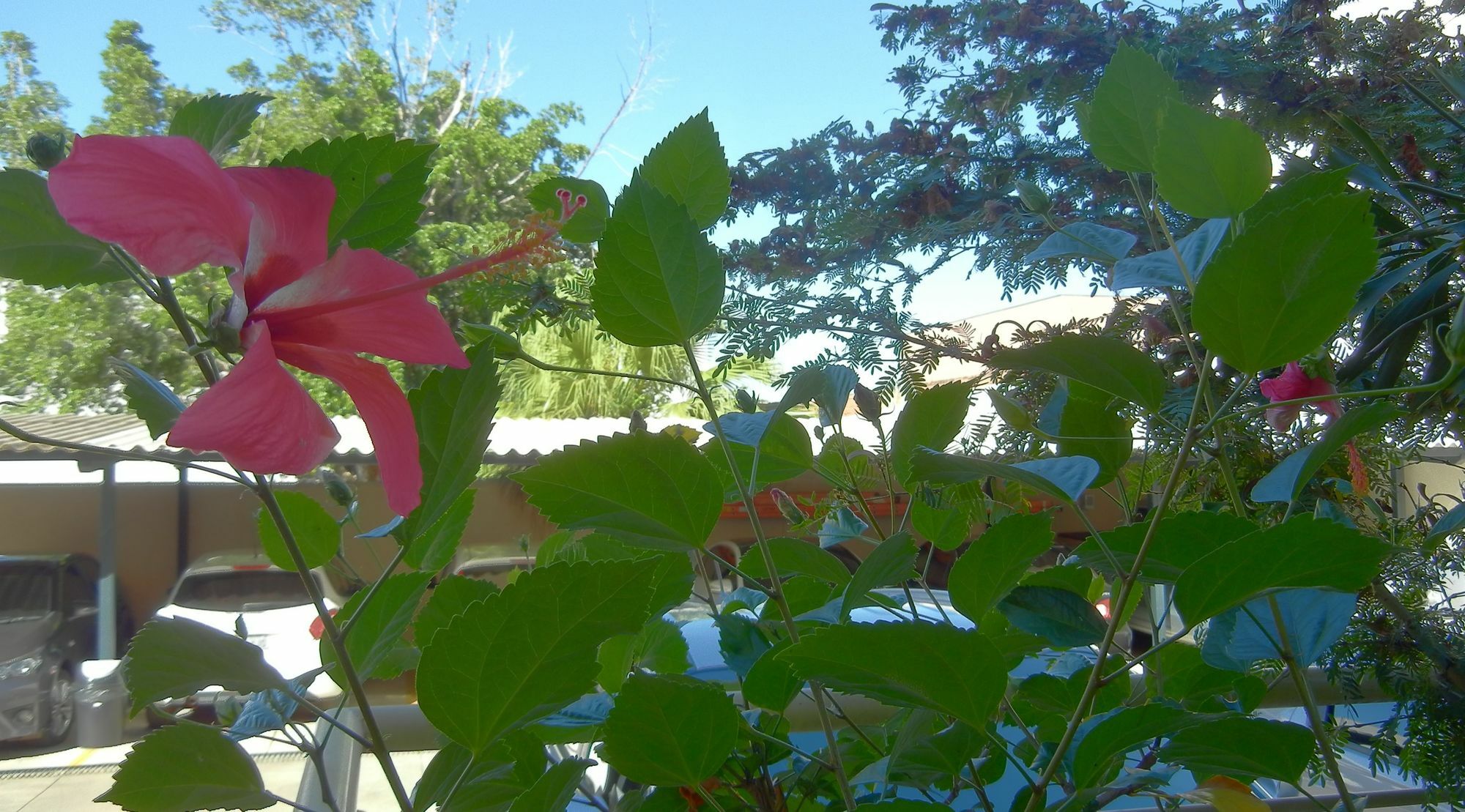 Hotel Castro Palmas (Tocantins)