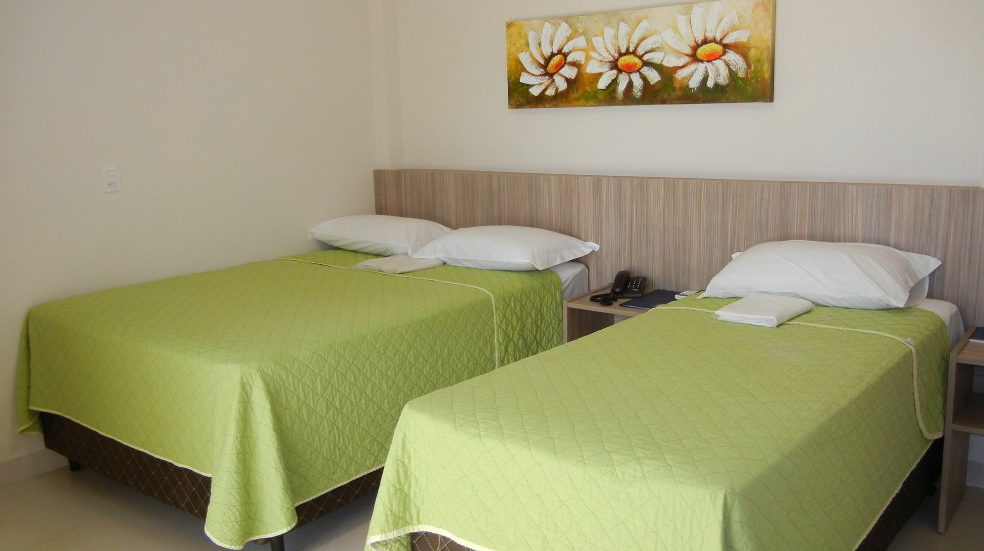 Castro Hotel Palmas (Tocantins)